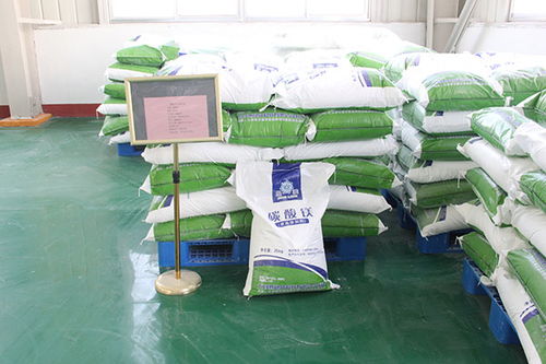 大自然食品级轻质碳酸镁 高品质食品添加剂的卓越供应商