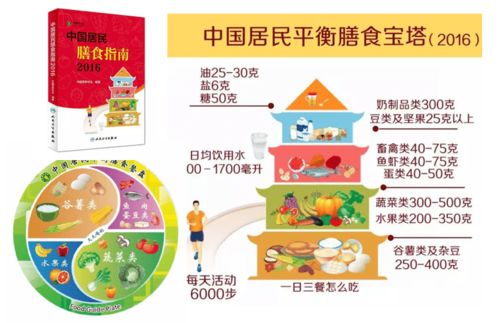 原来如此 揭开食品添加剂的神秘面纱与营养配餐的和谐之道